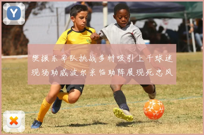 樊振东率队挑战多特吸引上千球迷现场助威波尔亲临助阵展现死忠风采