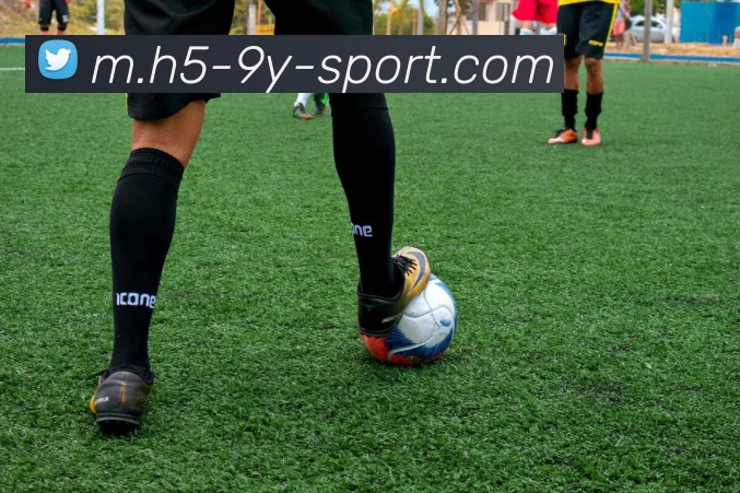 九游体育平台生态图